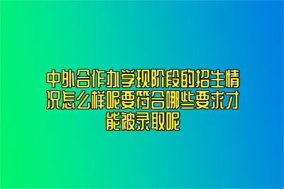 中外合作办学现阶段的招生情况怎么样呢要符合哪些要求才能被录取呢